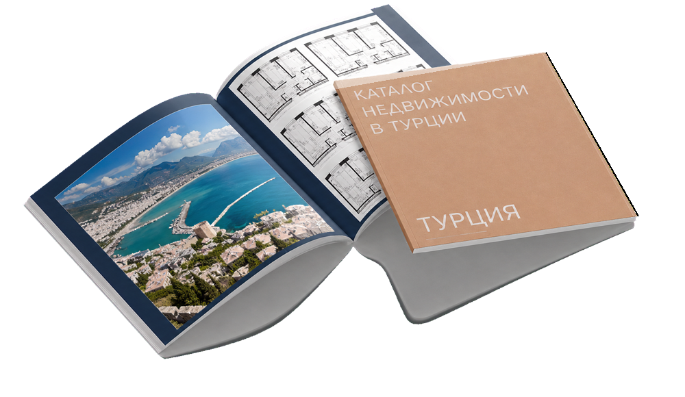 журнал